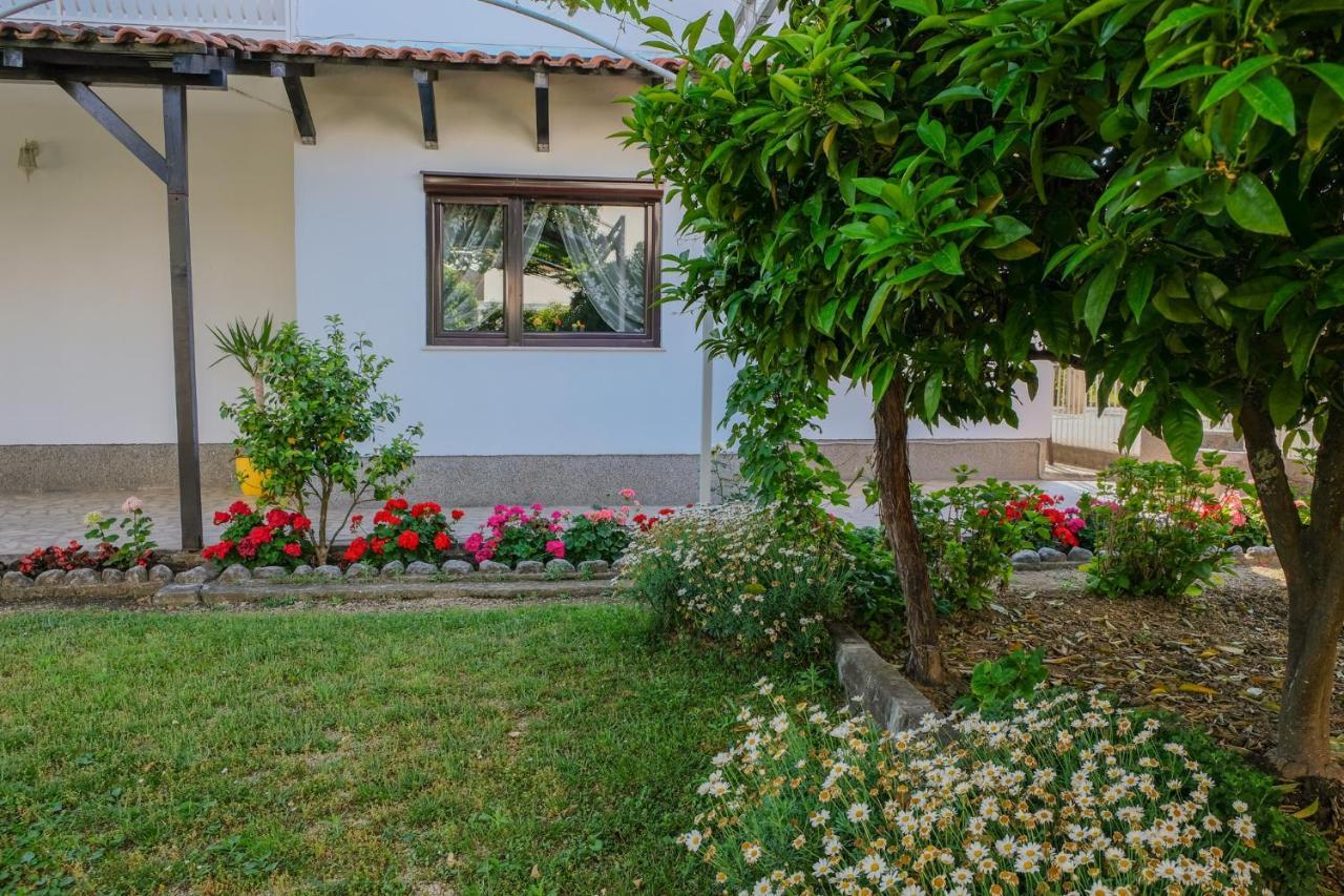 Vila Adriatik Ulcinj Exteriér fotografie