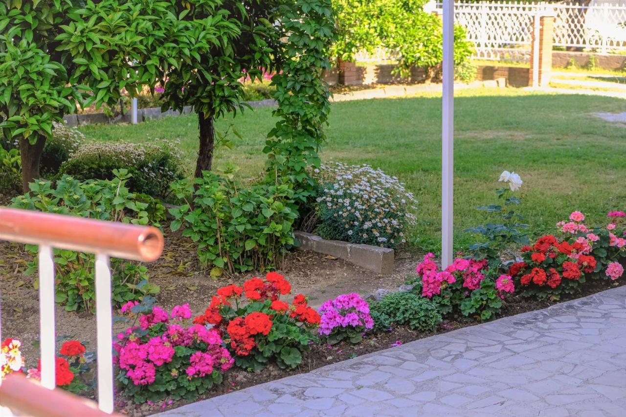 Vila Adriatik Ulcinj Exteriér fotografie