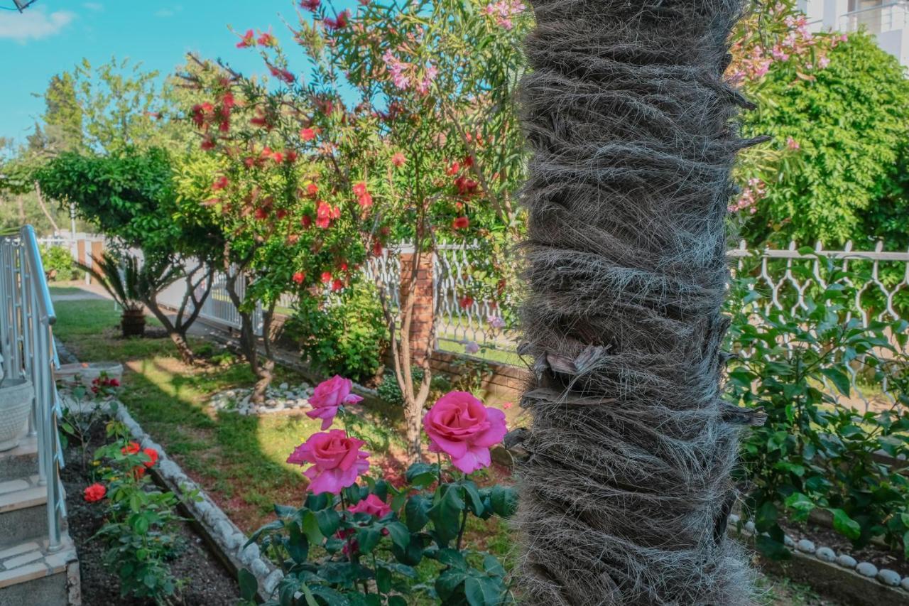 Vila Adriatik Ulcinj Exteriér fotografie